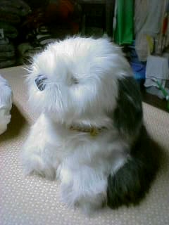ふんわりソフト仕上げ